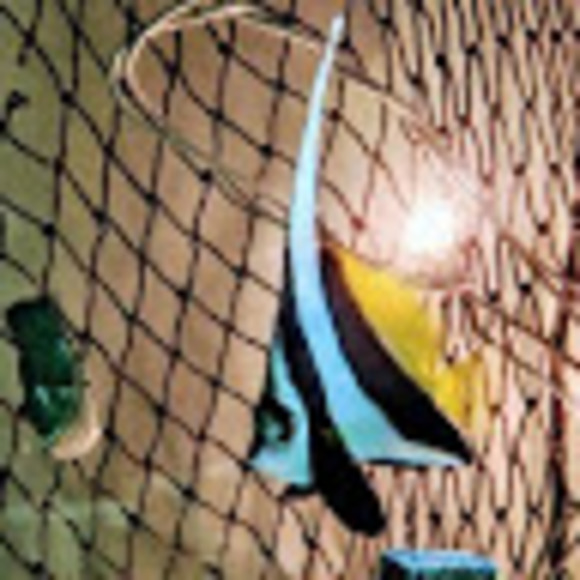 Meet your Posher, Peter - Picture 1 of 1